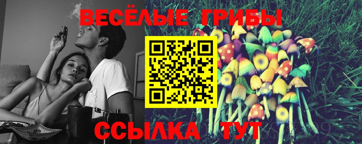 Псилоцибиновые грибы мицелий  Вход с VPN  Псков 